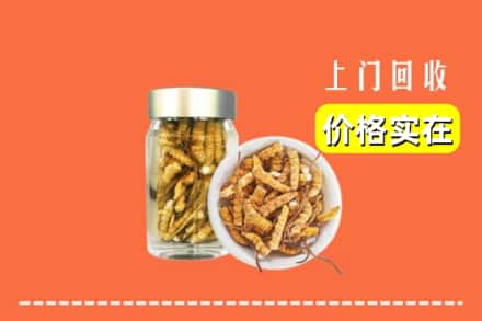 收购资讯:庆阳回收散虫草