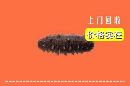 收购资讯:庆阳回收海参